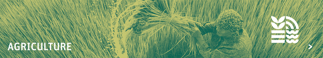 innovation-agriculture