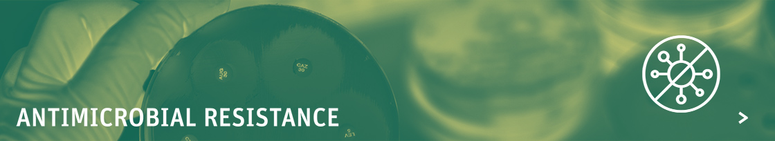 innovation-agriculture